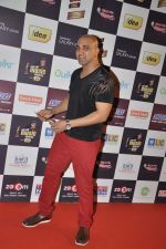 at Radio Mirchi music awards red carpet in Mumbai on 7th Feb 2013 (57).JPG